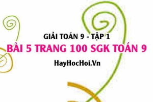 Giải bài 5 trang 100 SGK Toán 9 tập 1